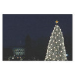 White House and National Tree Christmas Holiday DC Tissue Paper