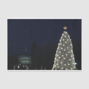 White House and National Tree Christmas Holiday DC Tissue Paper
