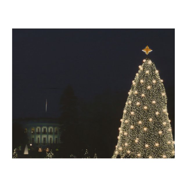 White House and National Tree Christmas Holiday DC Wood Wall Art (Front)