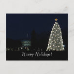 White House and National Tree Postcard