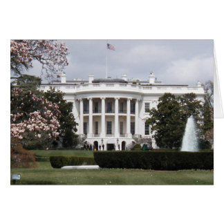 White house cards