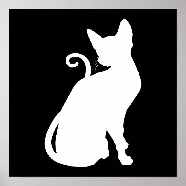 White House Cat Poster (Front)