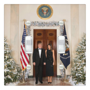 White House Christmas Donald Trump & Melania Light Switch Cover