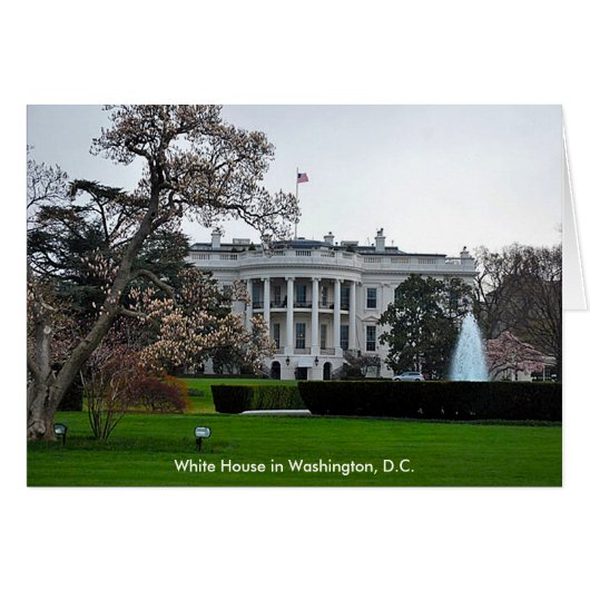White House, Washington, DC Cards (Front Horizontal)