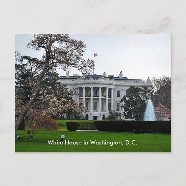 White House, Washington, DC Postcard (Front)
