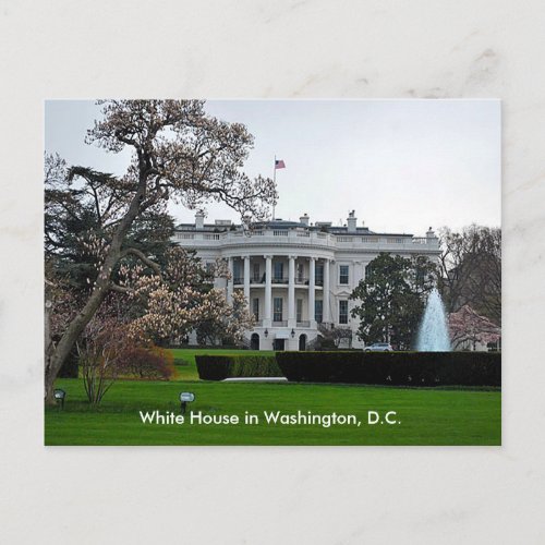 White House Washington DC Postcard