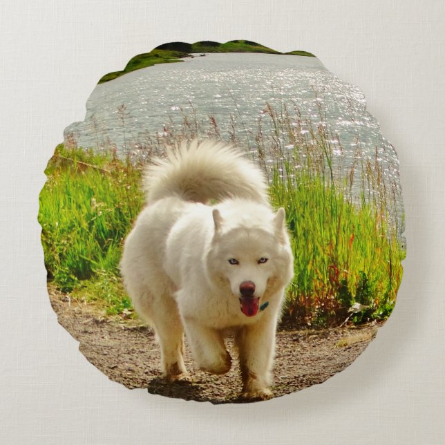 White Husky Blue eyes: Round Pillow (Front)
