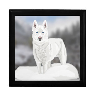 White Husky Gift Box