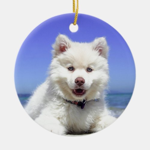 White Husky Puppy with Blue Eyes Ceramic Ornament