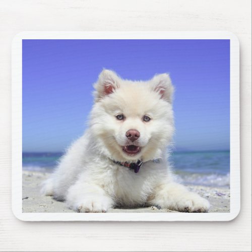 White Husky Puppy with Blue Eyes Mouse Pad