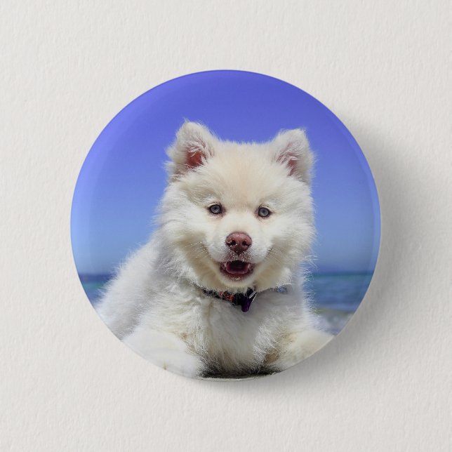 White Husky Puppy with Blue Eyes Pinback Button (Front)