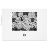 White hydrangea (Back Horizontal)