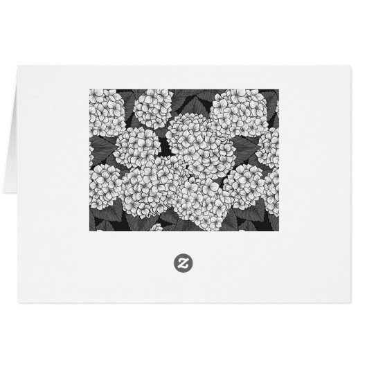 White hydrangea (Back Horizontal)