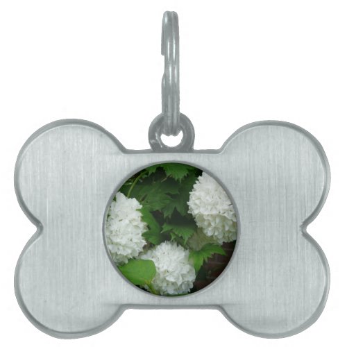 White Hydrangea Annabelle Flowering Plant Floral Pet Tag
