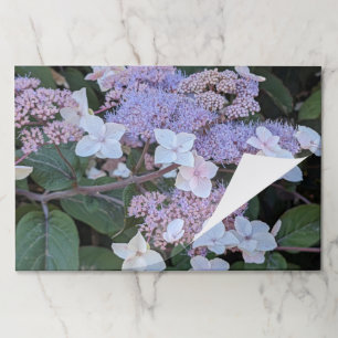 White Hydrangea Aspera Floral Paper Placemats