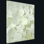 White Hydrangea Canvas Print<br><div class="desc">A pretty canvas featuring a soft image of beautiful white Hydrangea blossoms. This is a dry-brushed photo; lovely in white with pale accents of green and yellow.</div>