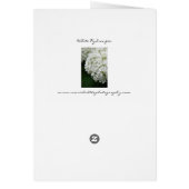 White Hydrangea Cards (Back)