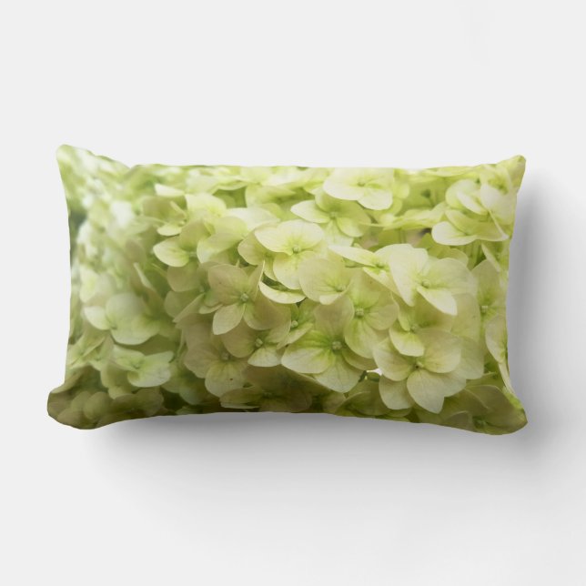 White Hydrangea flower background Lumbar Pillow (Front)