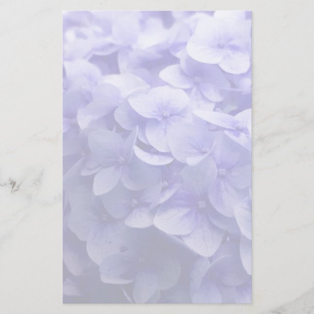 White Hydrangea flower background Stationery (Front)