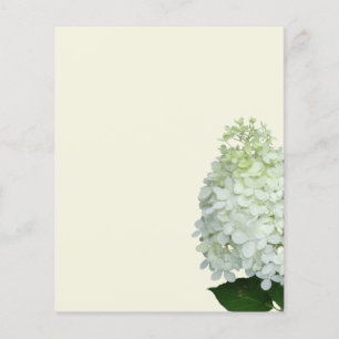 White Hydrangea Flower Blank Ecru Paper