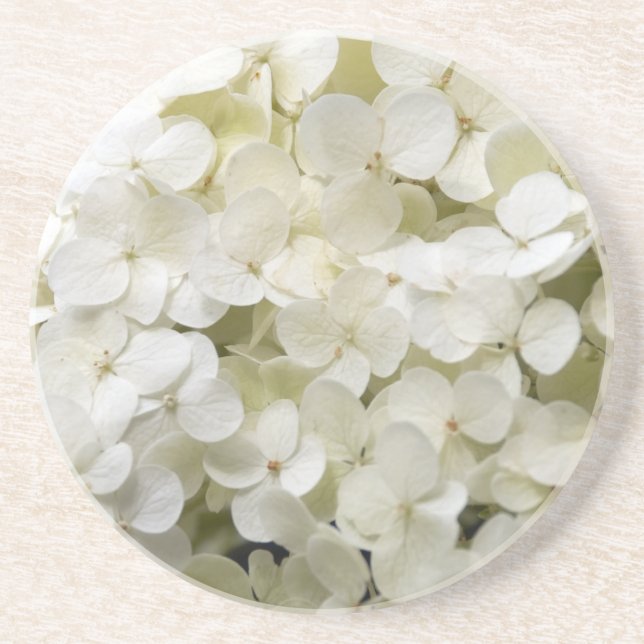 White Hydrangea Flowers Drink Coaster (Front)