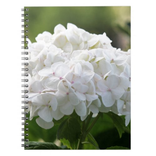 white hydrangea notebook