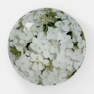 White Hydrangea Paperweight