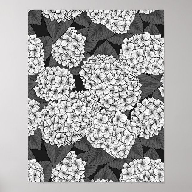 White hydrangea poster (Front)