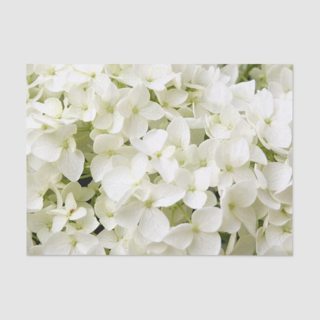 White Hydrangea Summer Party  Tissue Paper (Front)