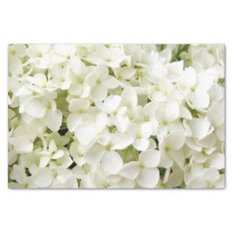 White Hydrangea Summer Party  Tissue Paper