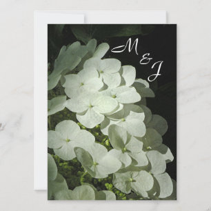 White Hydrangea Wedding Invitation