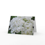 White Hydrangeas Greeting Card