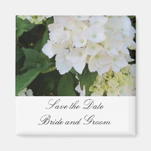White Hydrangeas Magnet