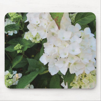White Hydrangeas Mouse Pad