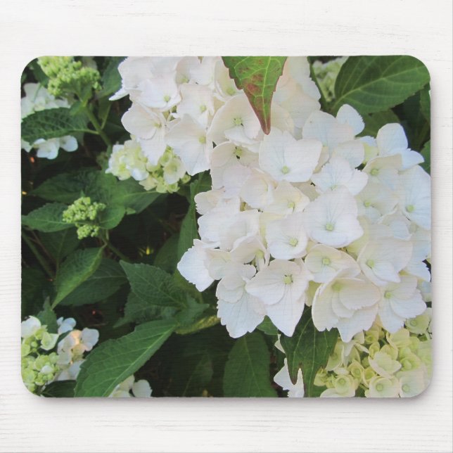 White Hydrangeas Mouse Pad (Front)