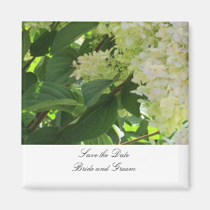 White Hydrangeas Save the Date Magnet