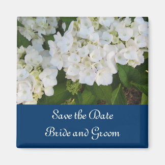 White Hydrangeas with Navy Border Magnet