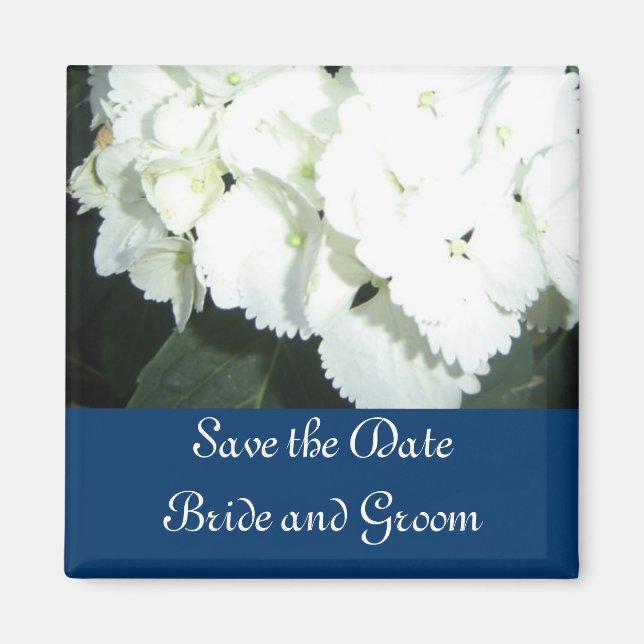 White Hydrangeas with Navy Border Magnet (Front)