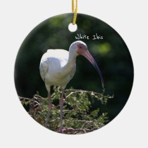 White Ibis Bird Ornament 