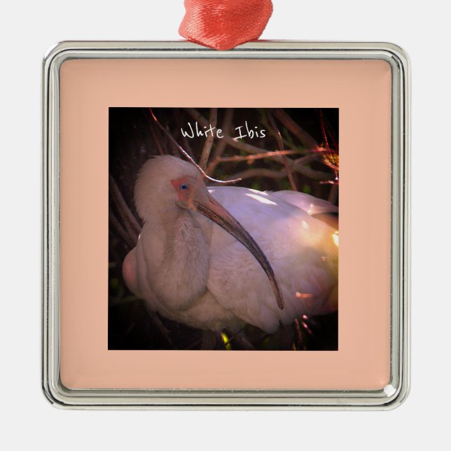 White Ibis Bird Photo Ornament  (Front)