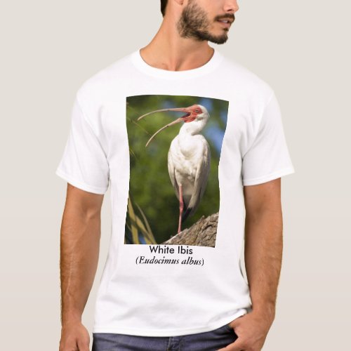 White Ibis Eudocimus T_Shirt