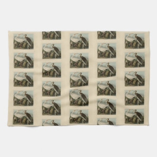White Ibis - John James Audubon's Birds of America Kitchen Towel