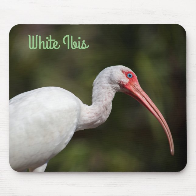 White Ibis Mouse Pad (Front)