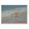 White Ibis Wading Bird on Sanibel Island Florida