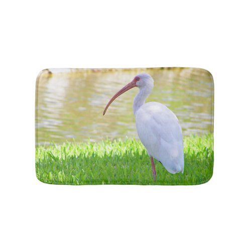 White Ibis Water Bird On One Leg In Grass Photo Bathroom Mat