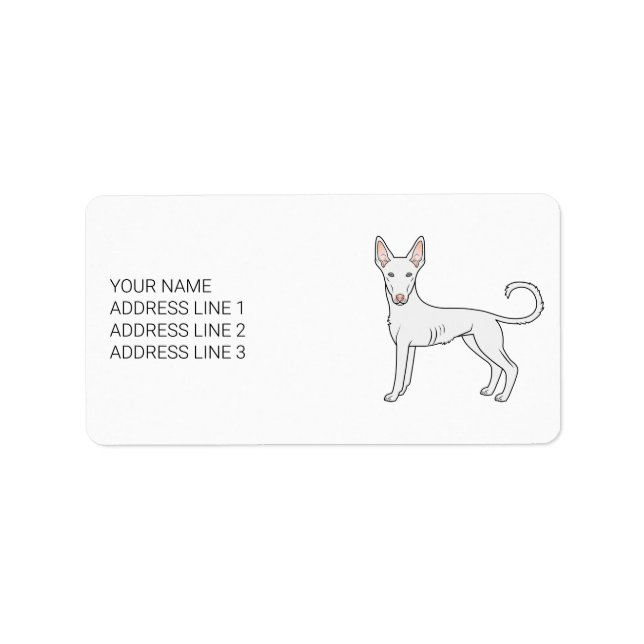 White Ibizan Hound Smooth Coat Cartoon Dog & Text Label (Front)