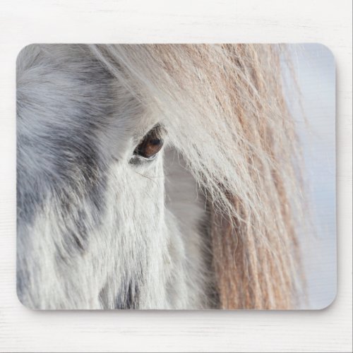 White Icelandic Horse face Iceland Mouse Pad