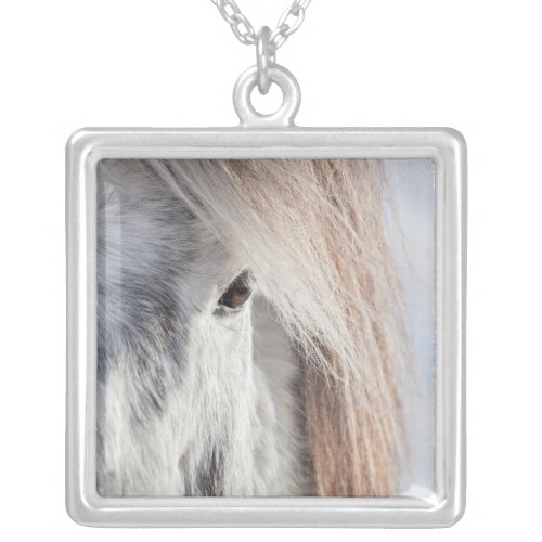 White Icelandic Horse face Iceland Silver Plated Necklace