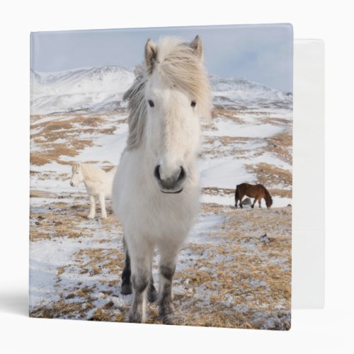 White Icelandic Horse Iceland Binder