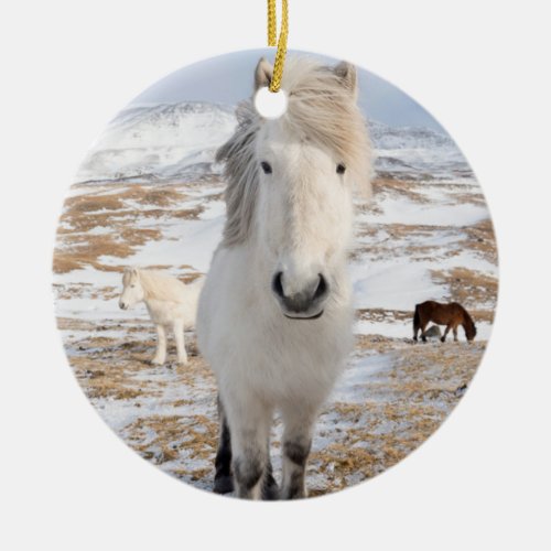 White Icelandic Horse Iceland Ceramic Ornament